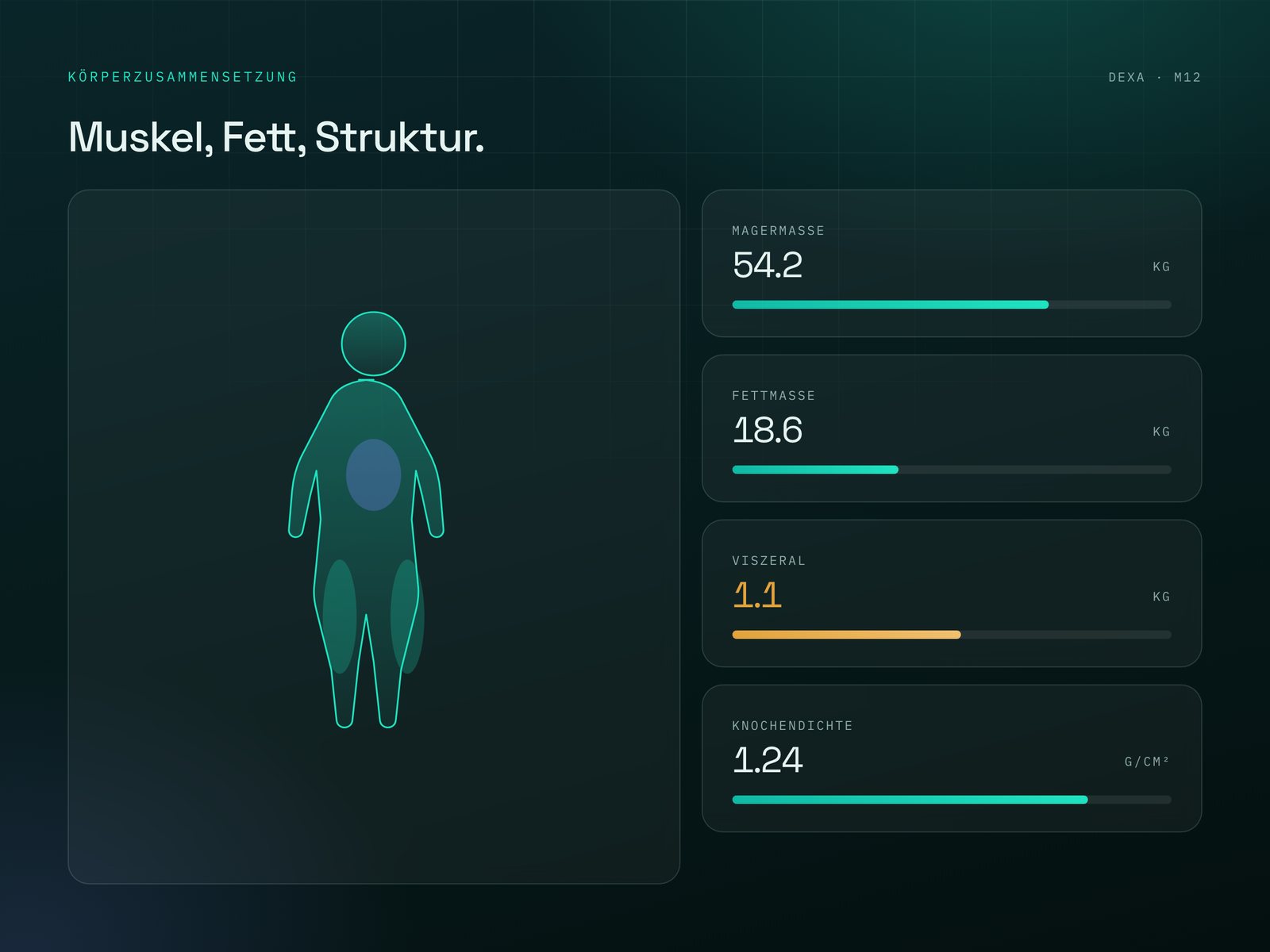 Illustratives Beispiel eines DEXA-Befunds mit Körperzusammensetzung